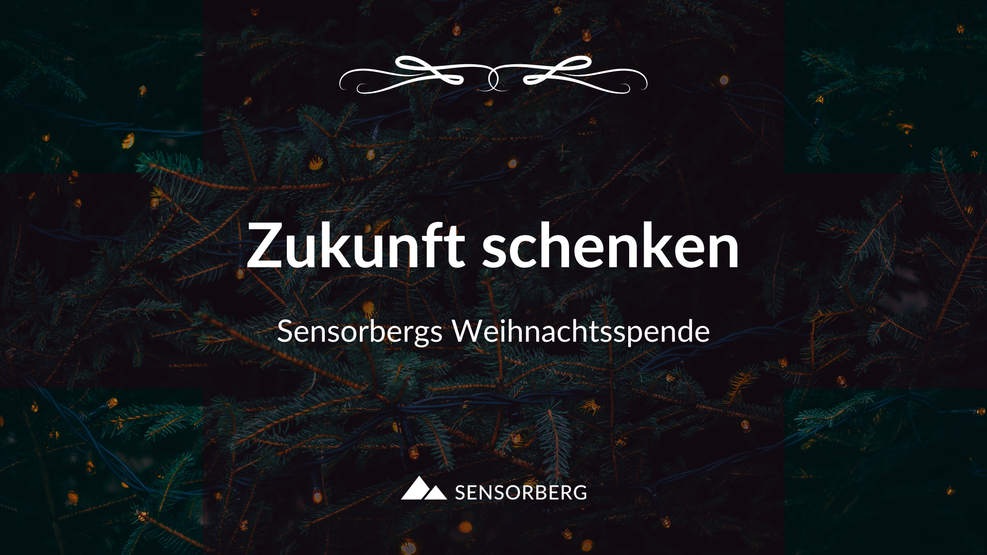 Give the Gift of the Future with Sensorberg's Christmas Donation